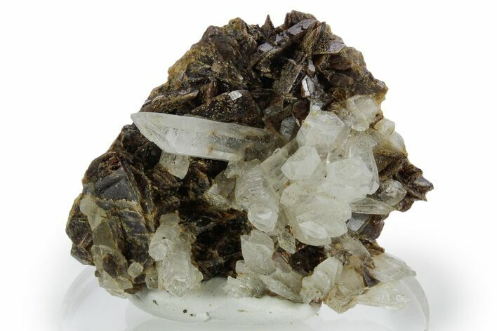 Quartz Crystals on Axinite - Peru #347879